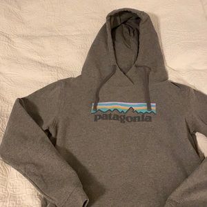 Patagonia Hoodie